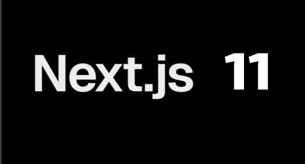 Next.js 11 image