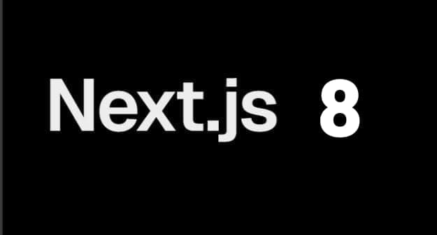 Next.js 8 image